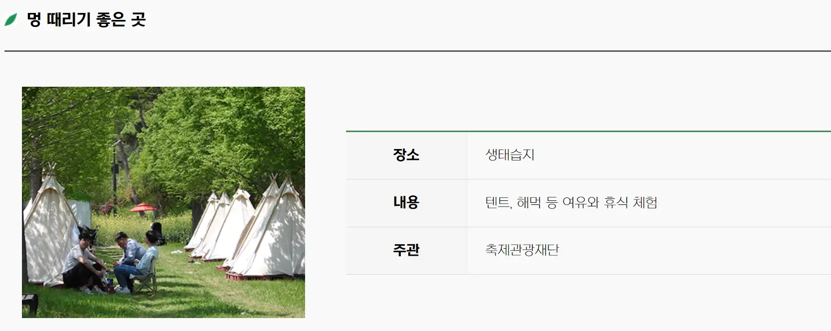 함평나비축제 기간, 주차장, 행사내용