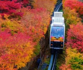 화담숲 단풍 절정시기 예약 방법까지 정리_10