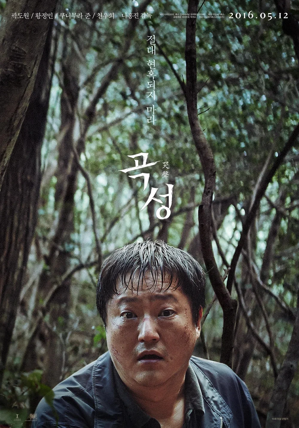 영화 곡성 포스터