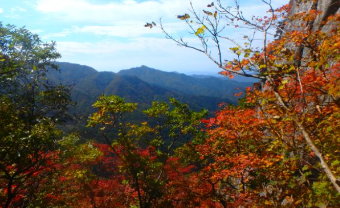 2025 팔공산 단풍 절정 시기 공개! 초보자도 즐기는 가을 등산코스 BEST