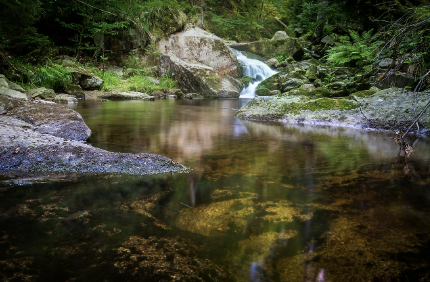 강원도 인제에 이런 곳이? 맑고 조용한 ‘비밀 계곡’ 공개