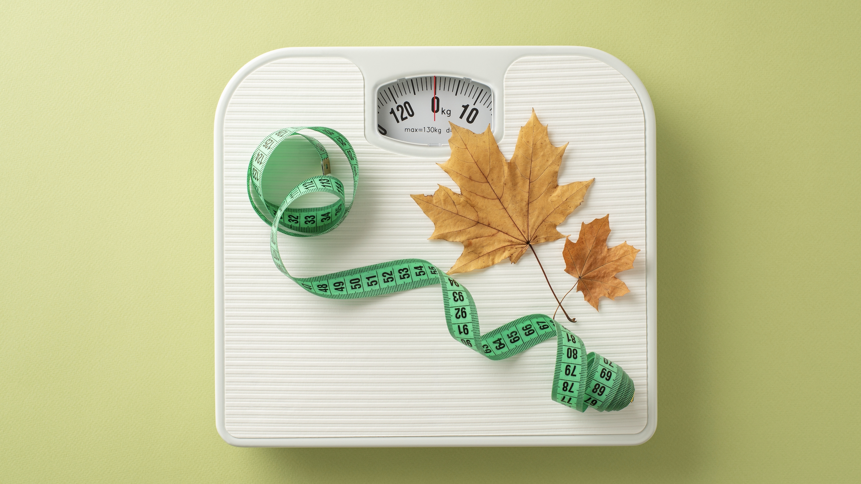 건강한 체중 유지