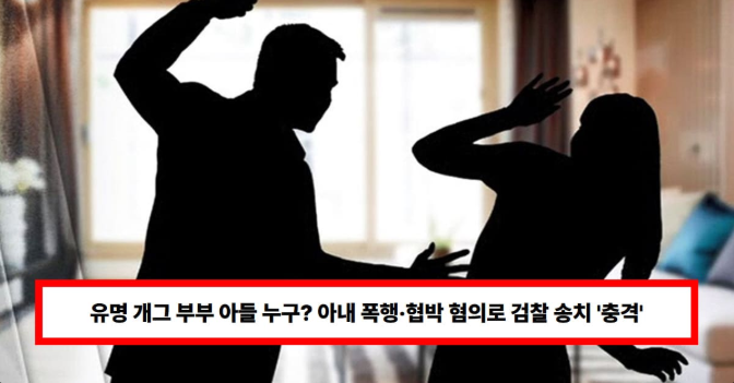 유명 연예인 부부 아들 폭행