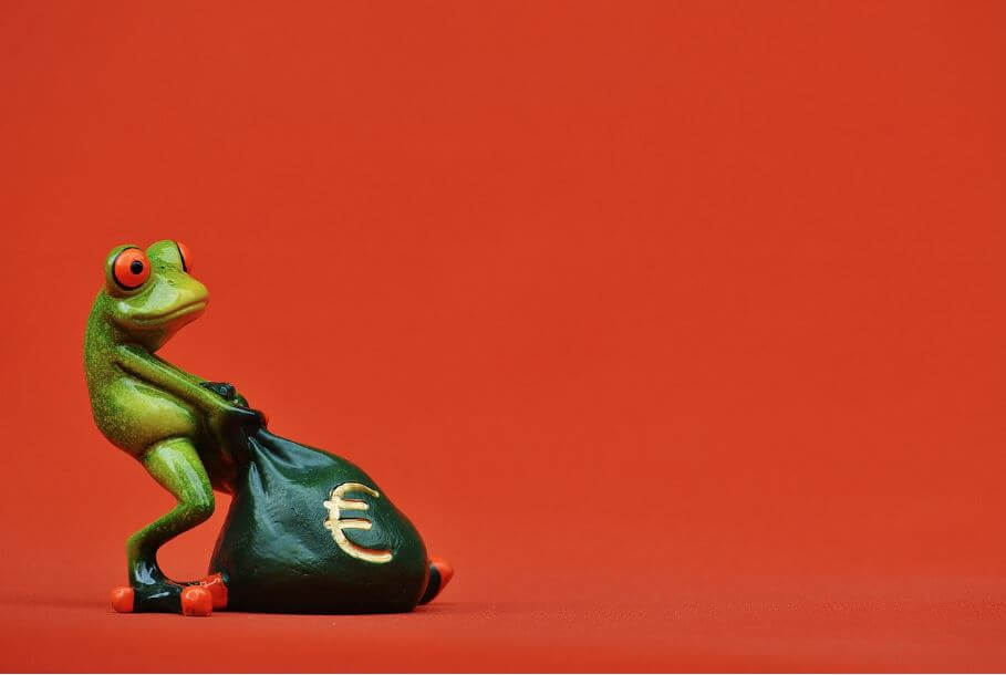 돈이 든 가방을 옮기는 개구리