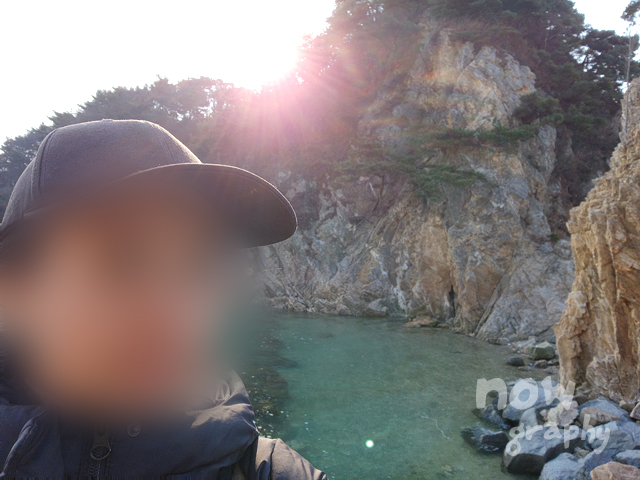 장고항