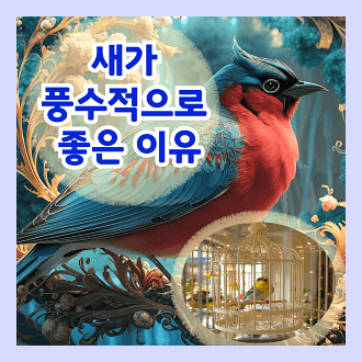 거실에 새를 키우는 것이 풍수적으로 좋은 이유 집에서 새를 키울 떄 주의해야 할 점