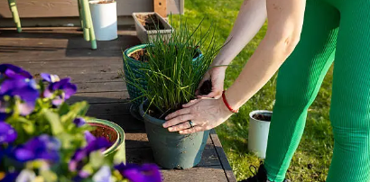 작은 화분이 집안 분위기를 바꾸는 이유