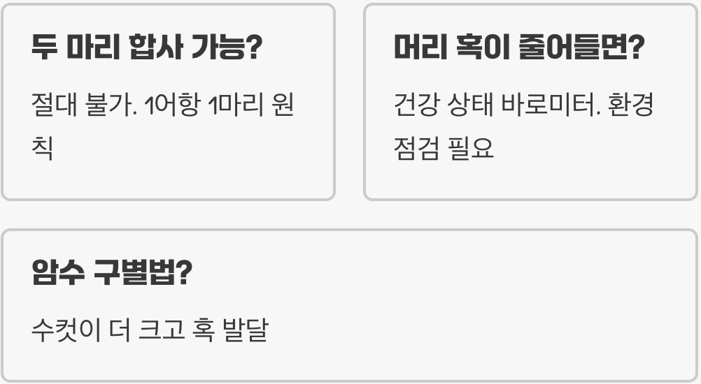 플라워혼 종류 총정리 (숏바디, 킹캄파, 골든베이스)