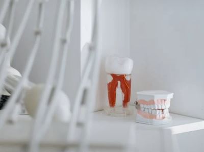 노인 임플란트 국가지원 지원대상 신청방법 혜택