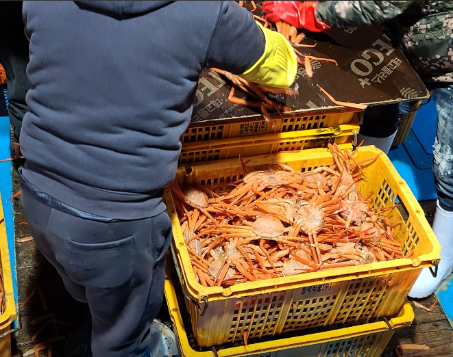 감동수산