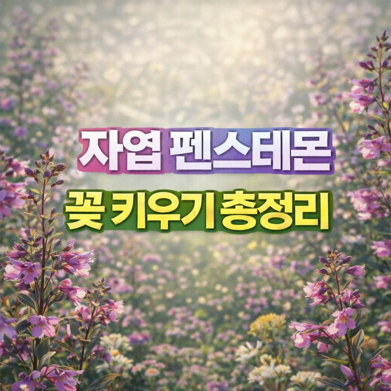 자엽 펜스테몬 키우기, 꽃말·물관리·파종시기·번식·분갈이·가지치기·월동 썸네일