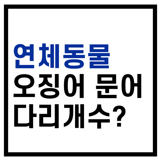 연체동물 다리개수