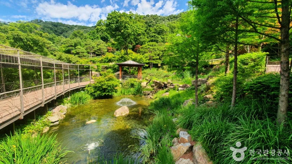 가족 단풍구경 화담숲 사전예약하기