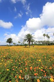 8월 제주도 가볼만한곳10곳