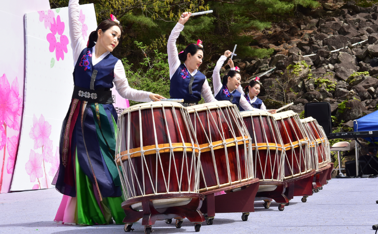 비슬산 참꽃축제