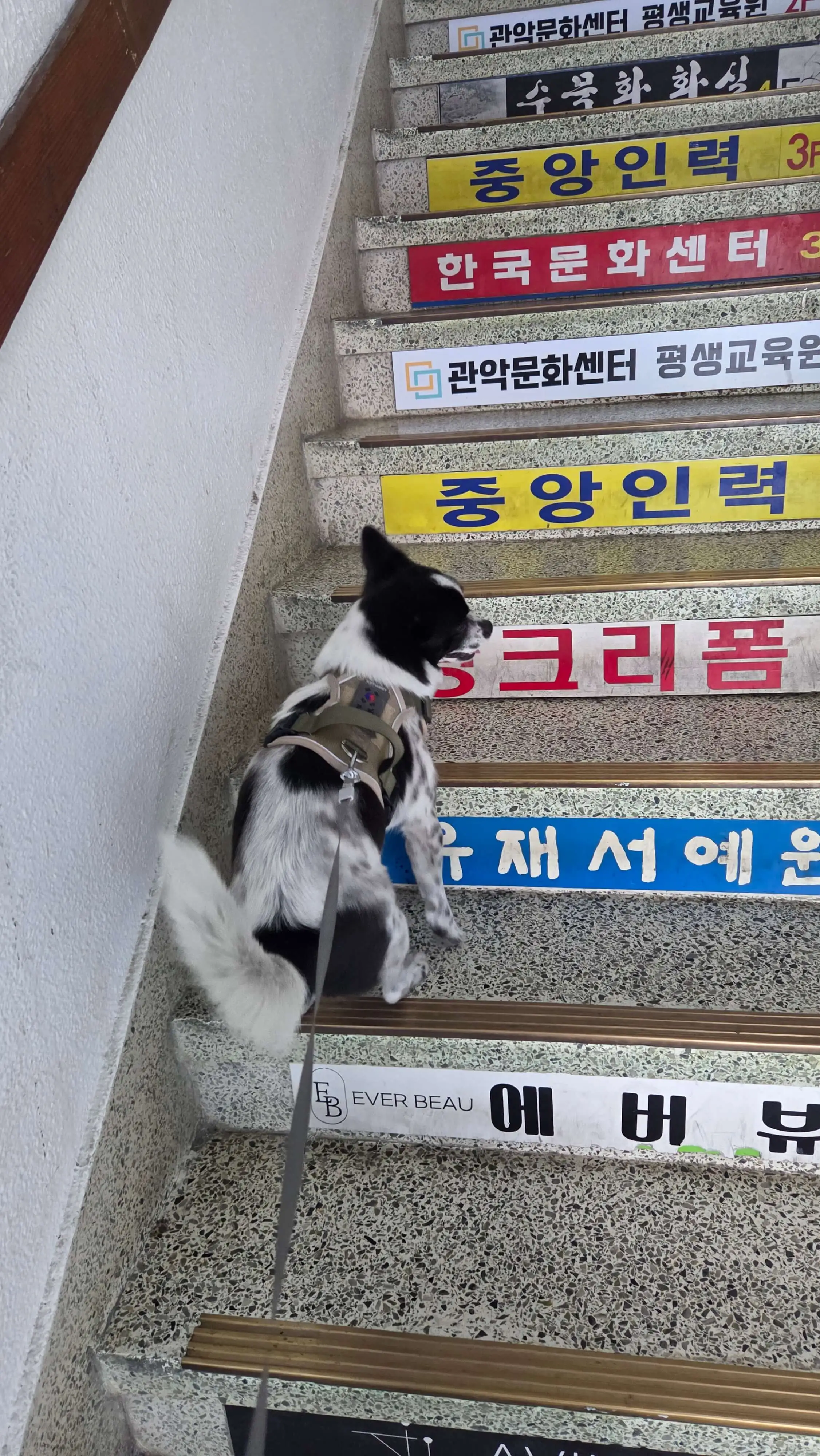 가파른 학원 계단 앞에서 잠시 멈춰 선 행복이