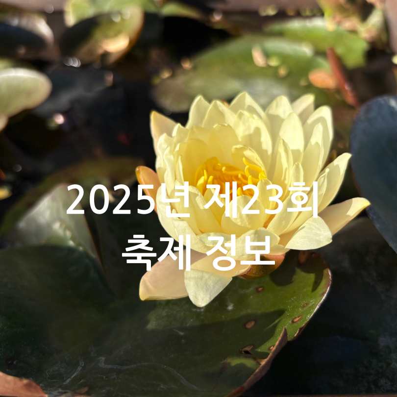 부여서동연꽃축제 2025 일정 및 볼거리