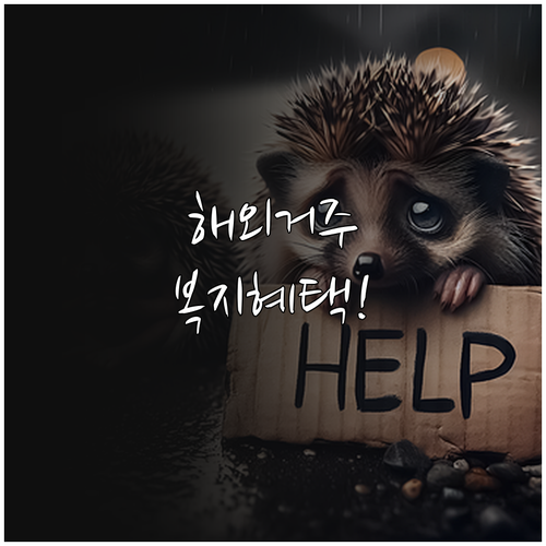 해외 거주 중 복지멤버십 신청 자격과..