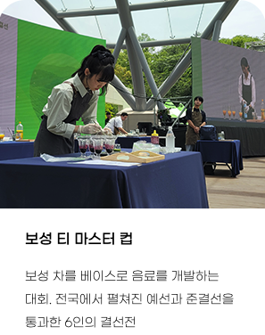 2025 보성 다향대축제 라인업&amp;#44; 2025 보성다향대축제 가수&amp;#44; 2025 보성다향대축제 기본정보