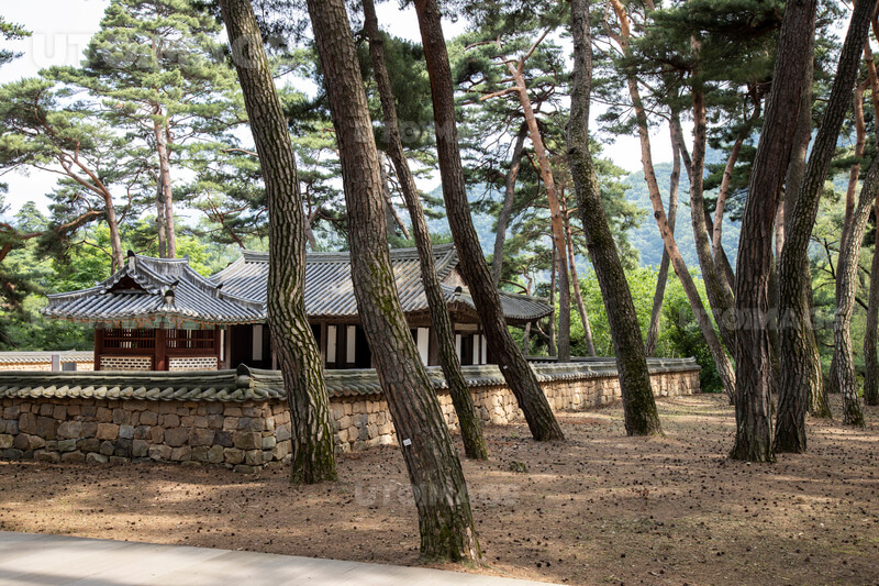 청령포