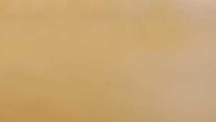 새싹이 크고있음