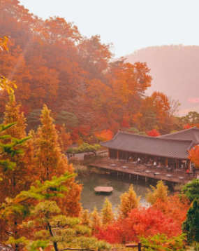 화담숲 예약 3분만에 성공하는 꿀팁