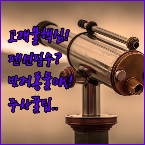 영덕 고래불 노점상거리 펜션 호텔 리..