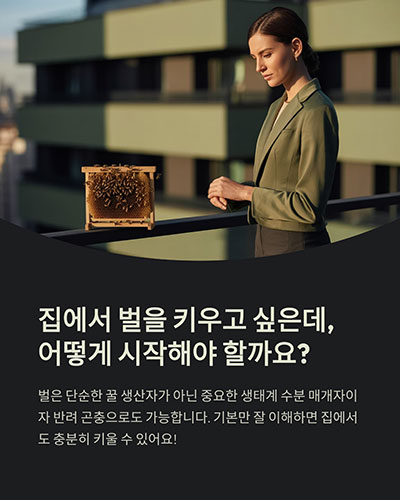애완벌 사육 잘하는 법, 이것만 알면 충분해요