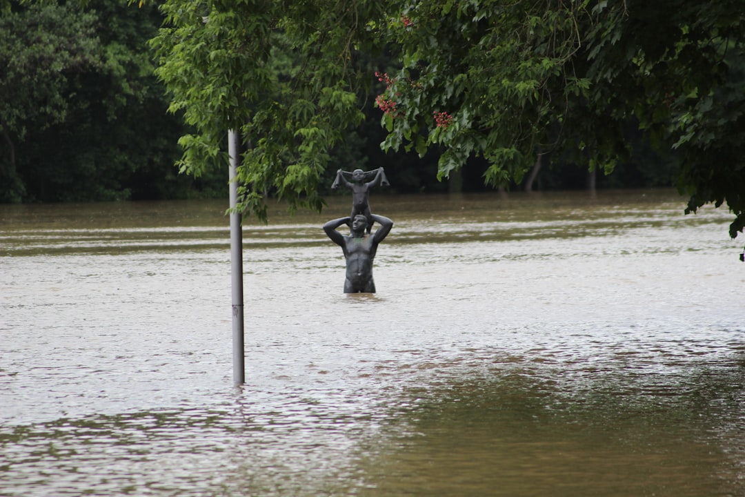 Flood