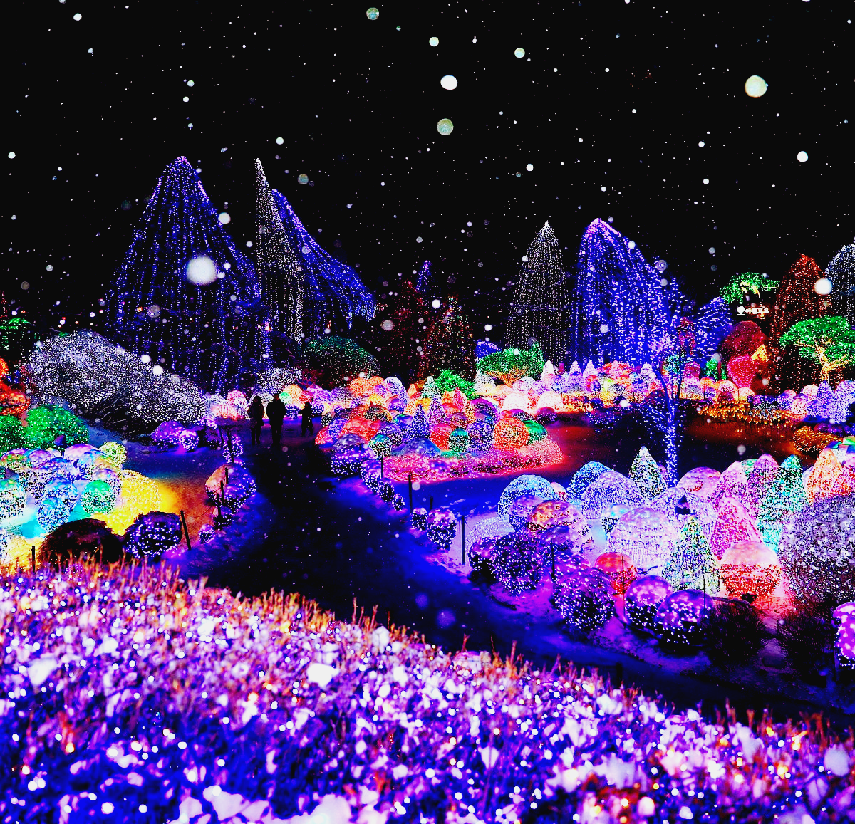 오색별빛정원전