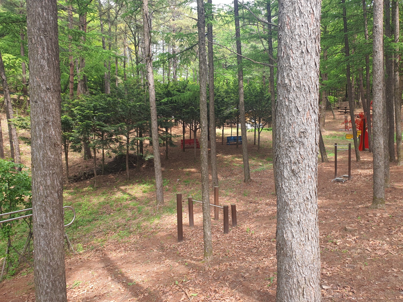 봉래산산림욕장