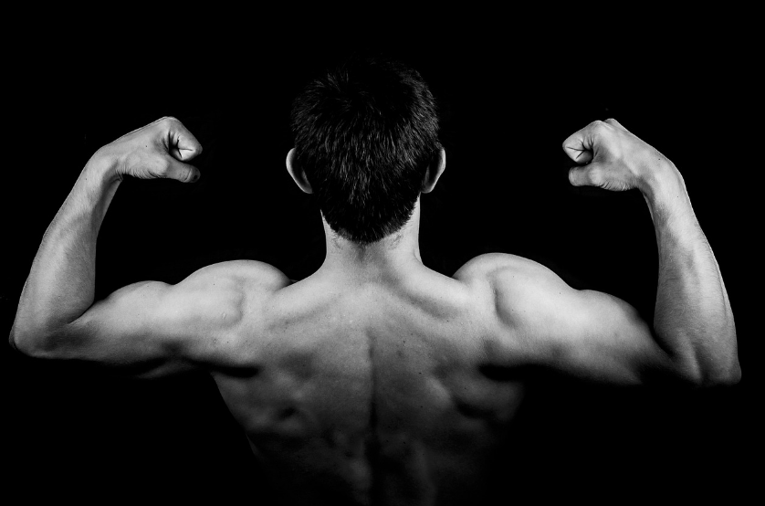 근감소증은 근육량이 감소하고 근력이 약화되는 상태를 가리킨다