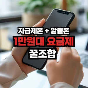 자급제+알뜰폰 1만원 요금제 추천