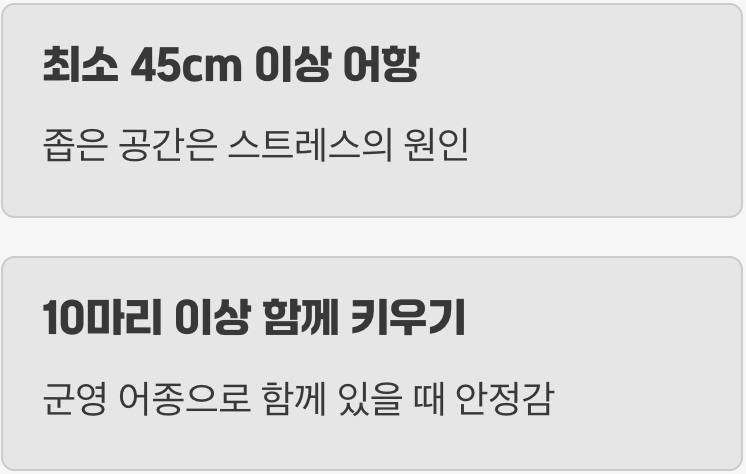 어항 - '함께 달릴' 넓은 운동장