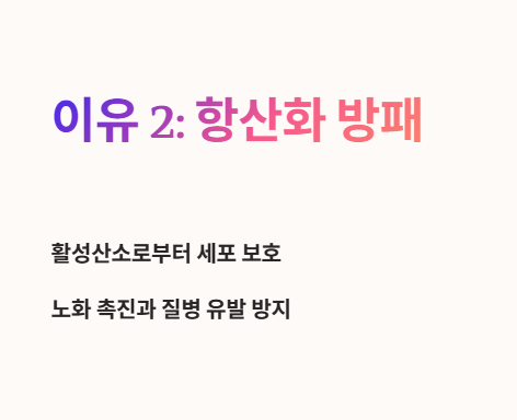 커큐민 효능 : 항산화 방패