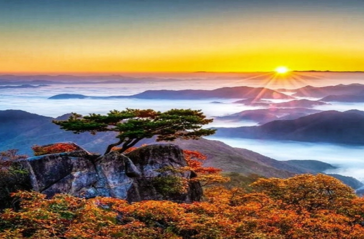 대둔산 케이블카