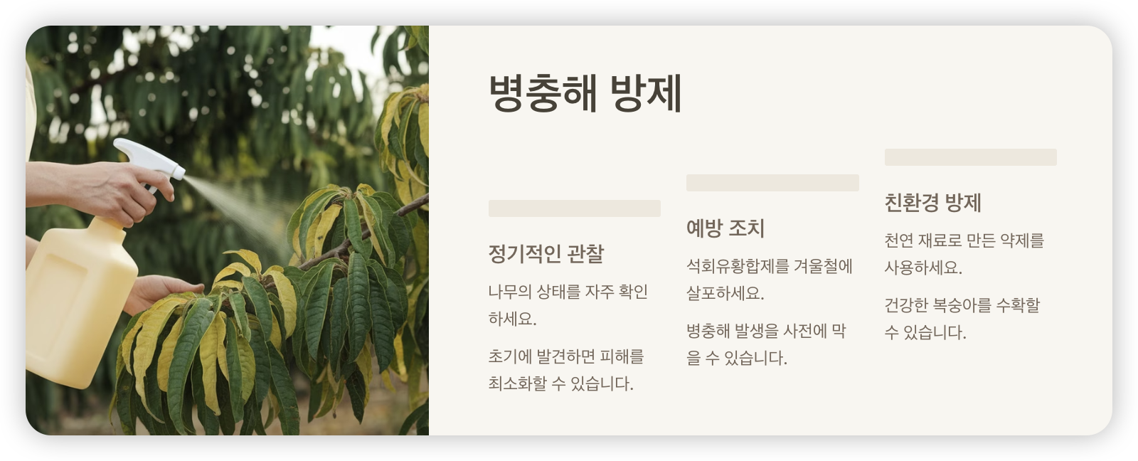 복숭아나무-병충해-방제