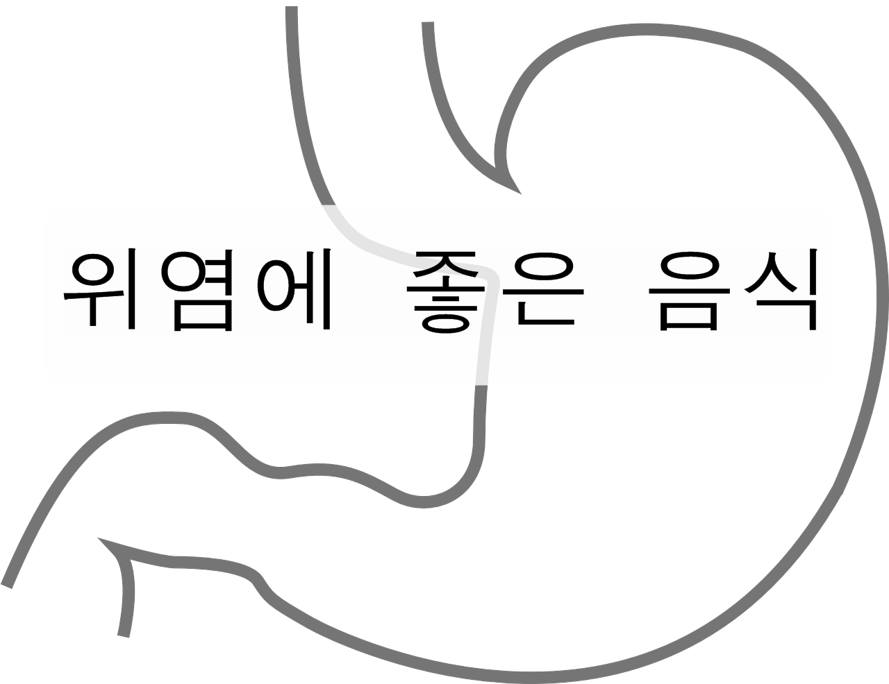 위염에 좋은 음식을 알아보자!!