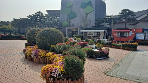 화성_우리꽃식물원_국화전시회