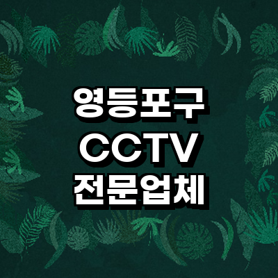 서울 영등포구 cctv