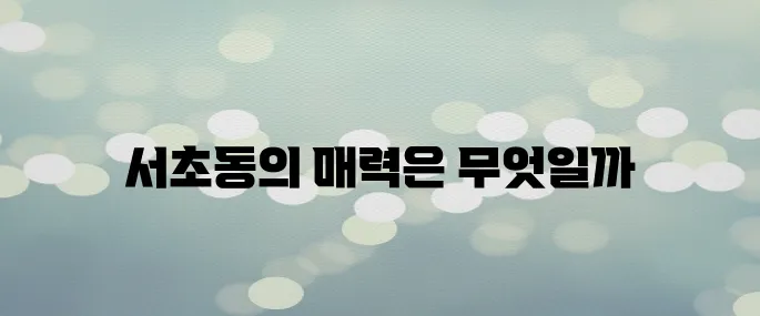 〈서초동〉 드라마 배경과 캐릭터, 로맨스+법정청춘 이야기 총정리