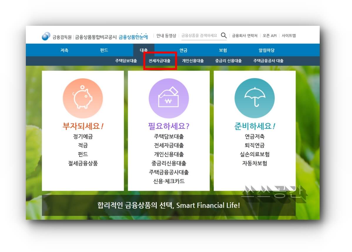금융감독원 홈페이지