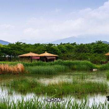 11월에 가볼만한 국내 여행지