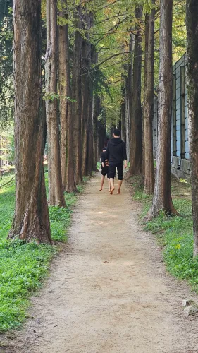 부산 화명동 맨발걷기