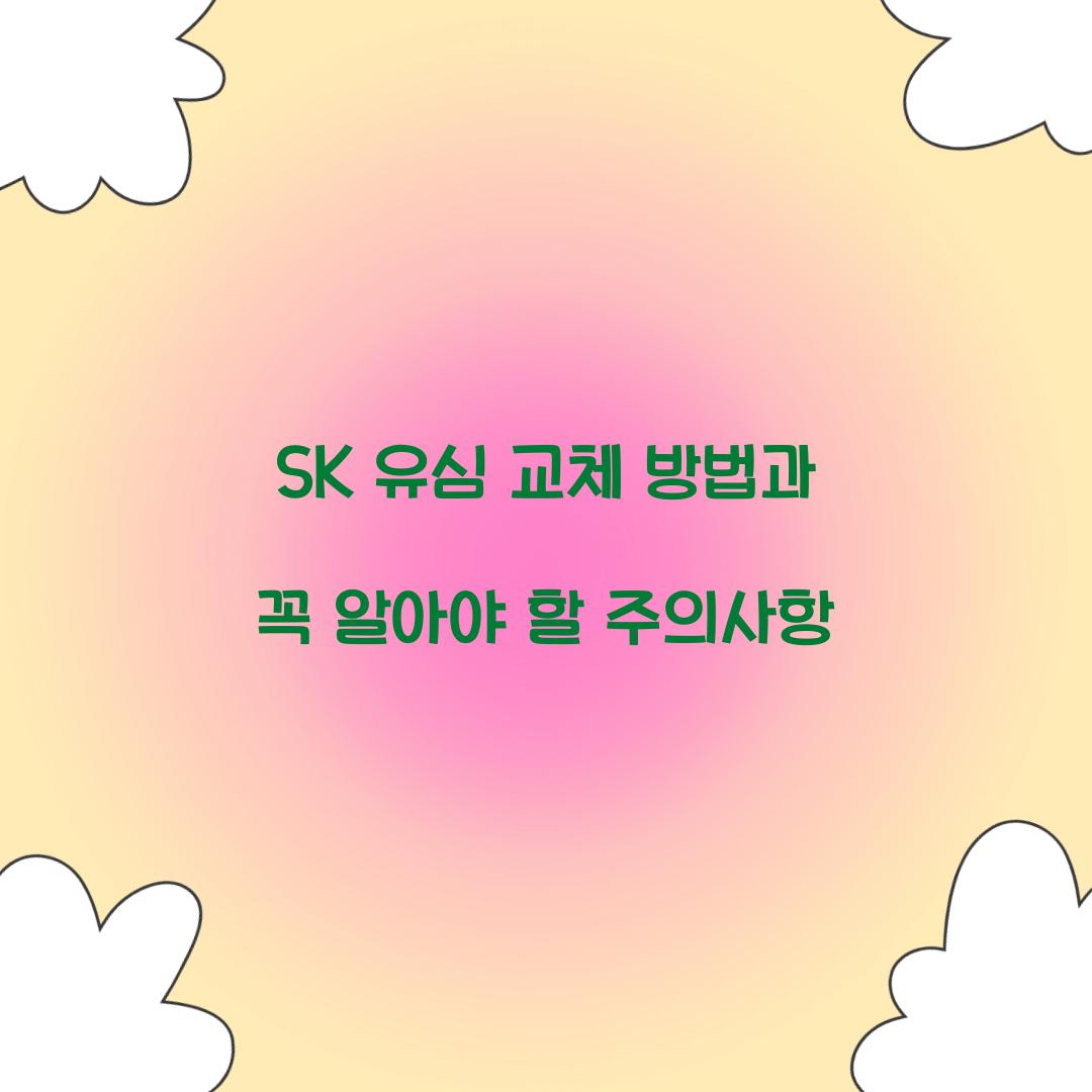 SK 유심 교체 방법