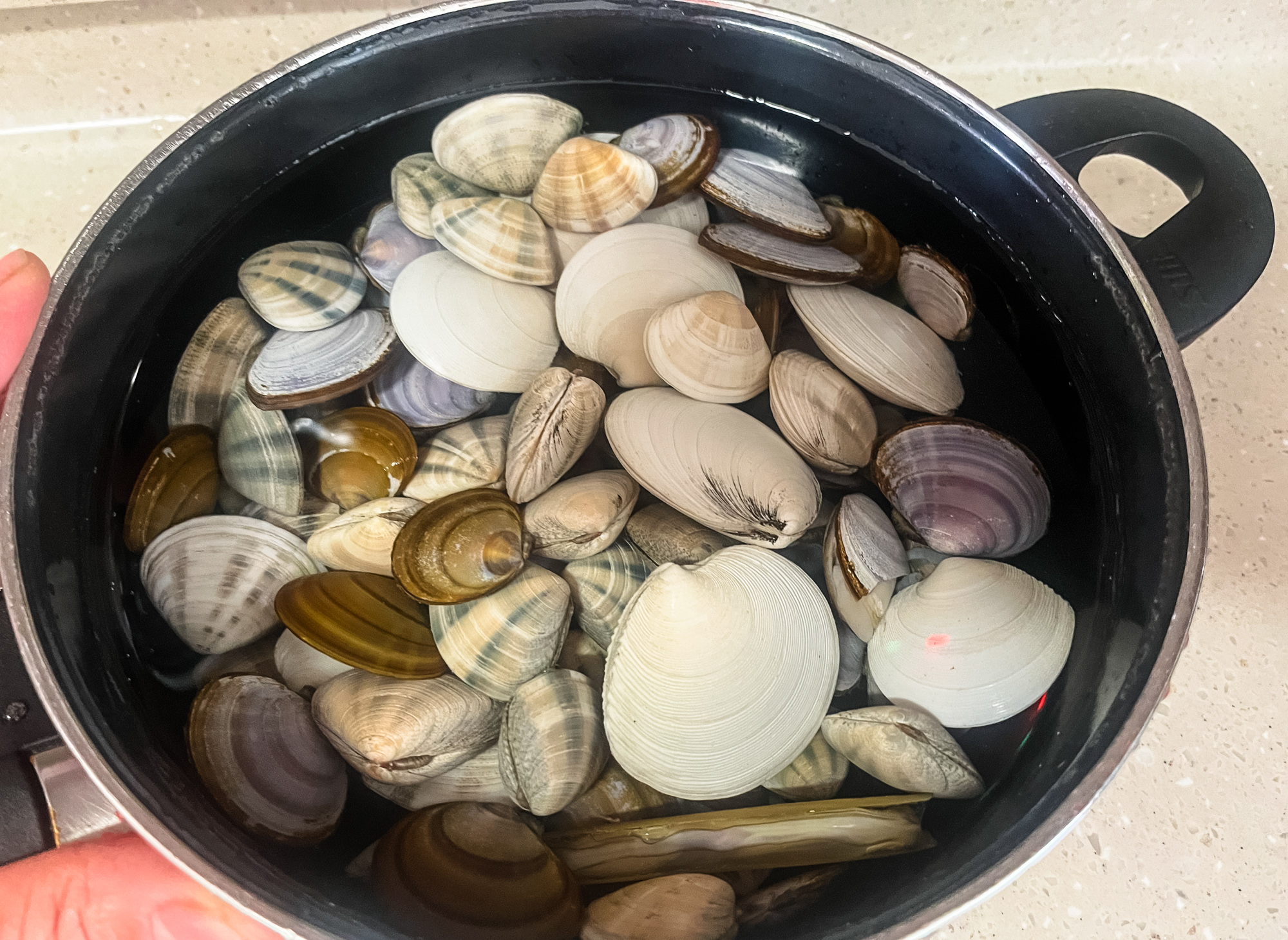 만리포 조개체험