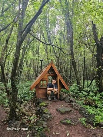 제주 곶자왈 숲길 산책 원시림 초록 힐링 여행_12