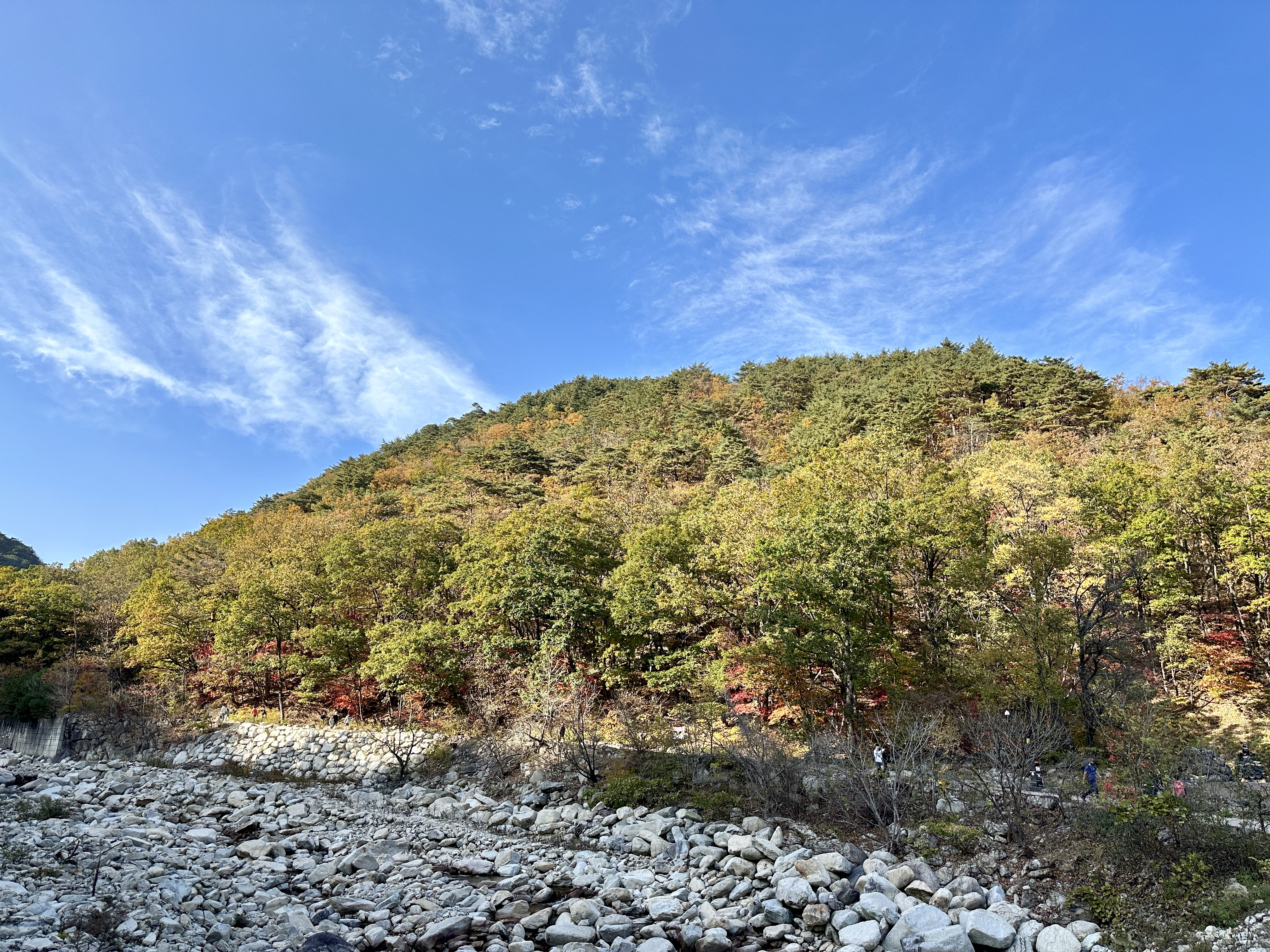 많이 가물은 설안삭 개울