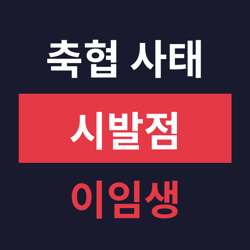 대한축구협회 사태 시발점, 이임생 기술총괄이사 선임 절차 위반과 문체부 감사 결과 분석 관련 썸네일