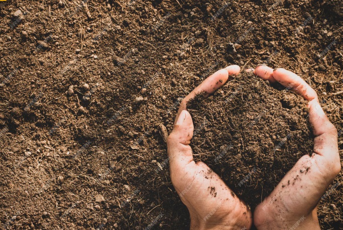 토다자. 토가 많은 사주